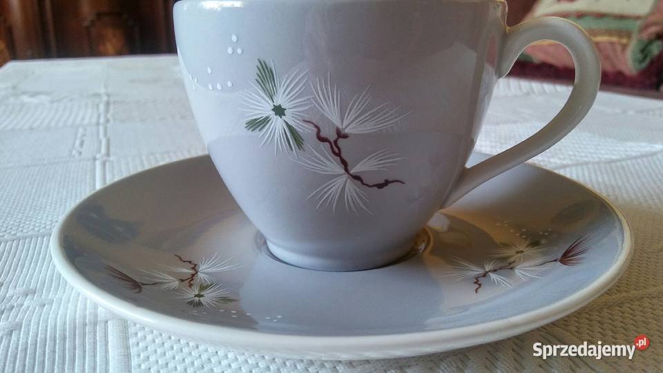 Royal Doulton filizanka do kawy frost pine lubelskie Kraczewice Prywatne