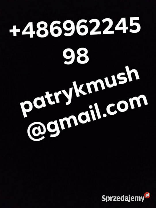 Kupię dom Sprzedaż pomorskie Chojnice sprzedam