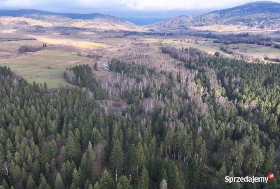 Działka Czarna 11400m2 podkarpackie