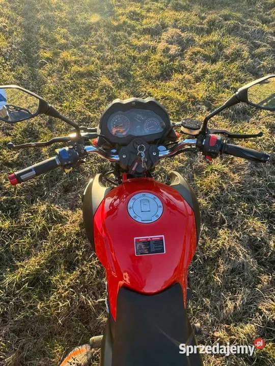 Romet ZXT50 2019r Głoska