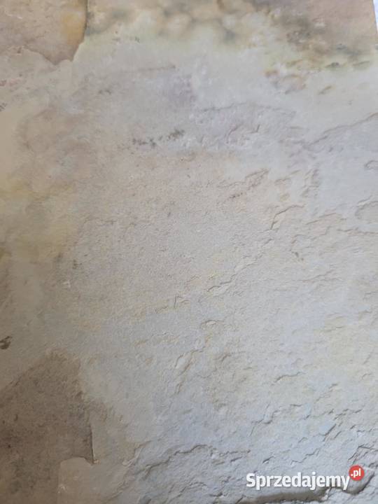 Fornir Kamienny Łupek Indian Autumn tapeta 2MM Gdynia