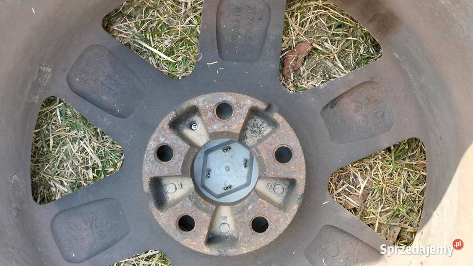 Koła Laguna 2 16 Tarło-Kolonia