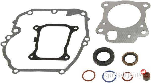 Zestaw uszczelek silnika 597320 Kamionna