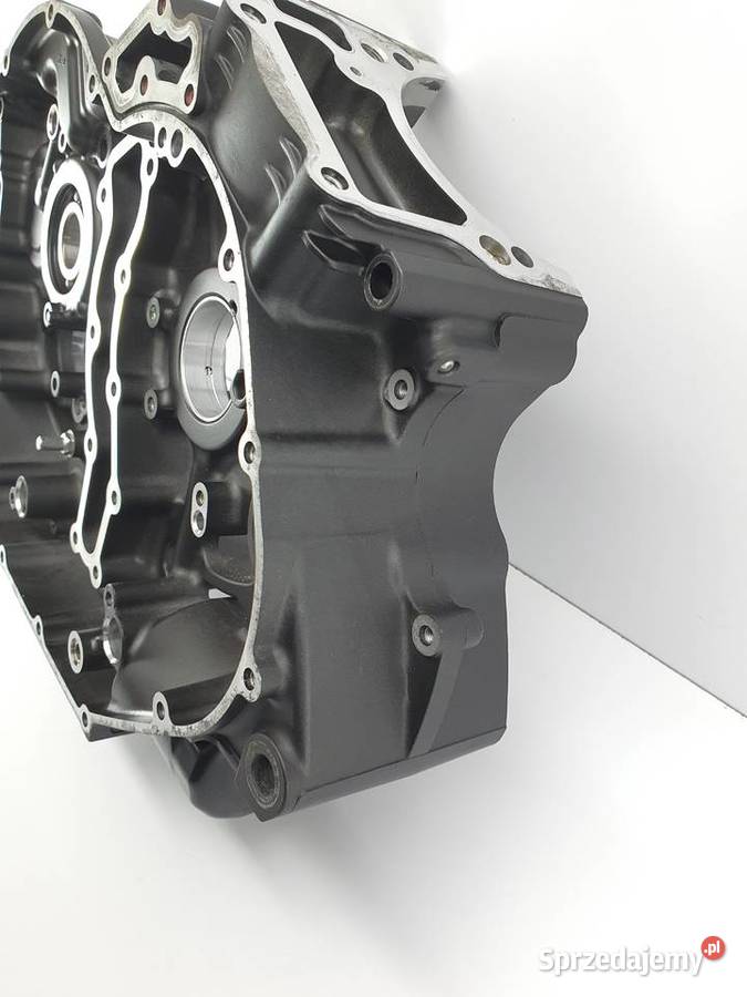 Karter Blok Silnika Korpus Yamaha Xvs 1300 Łódź