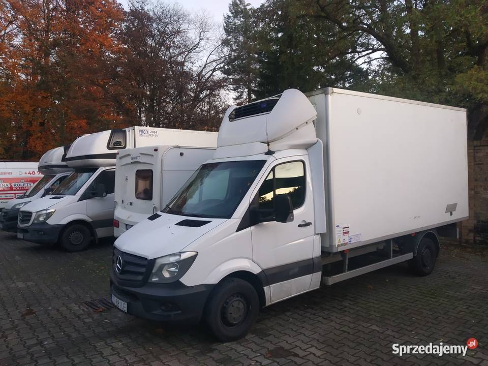 Mercedes Sprinter 316 2016 Chłodnia Mrożnia 230V Mercedes-Benz Szczecin