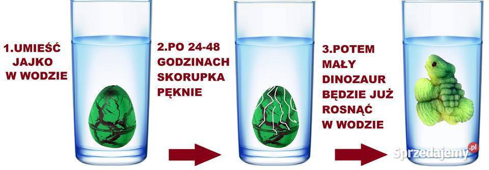 Dinozaur Jajo Jajko do Wyklucia Wzrostu MAGIC sprzedam