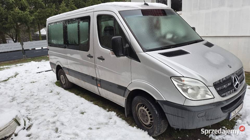 9 osobowy 163KM Świekatowo