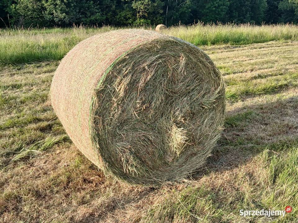 Baloty siana 120 x 120 czerwiec 2025 dolnośląskie Nagórze