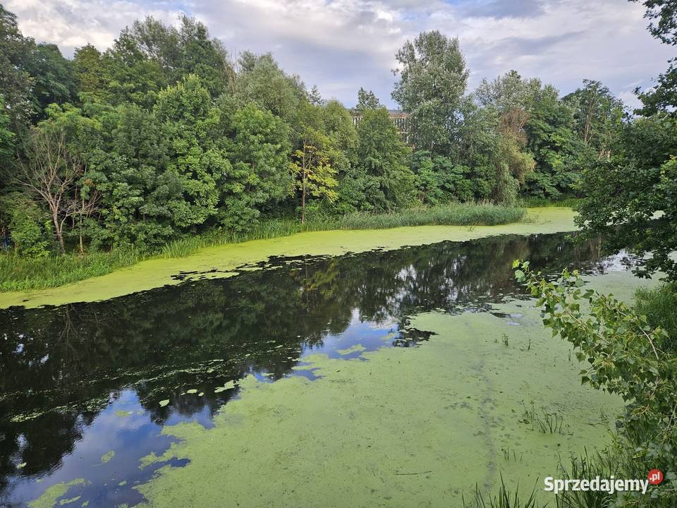 2pok 54met Niskich Łąk PARKING Wrocław sprzedam