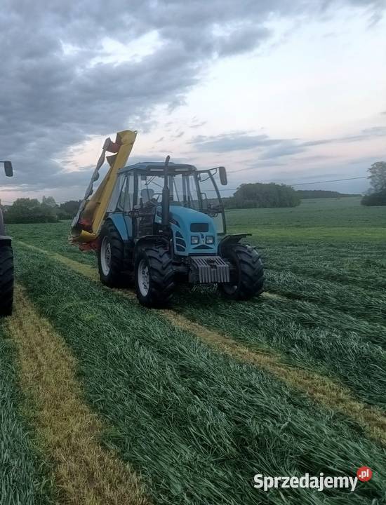 Pronar 82 sa MTZ 82 mazowieckie Ciechanów
