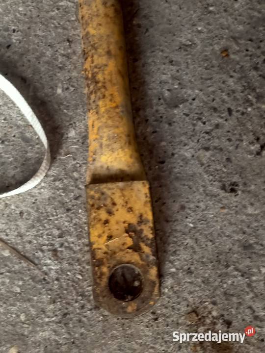 Hol sztywny podkarpackie Orły