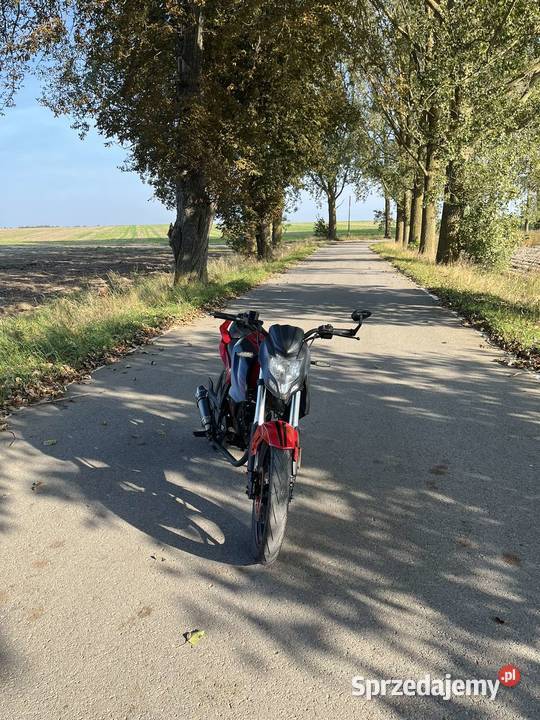 junak 905 50125 Rok produkcji 2017 Starzyno sprzedam