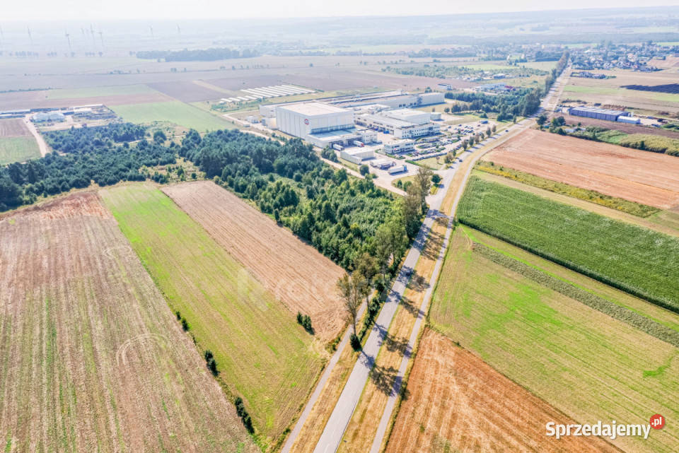 sprzedaży gruntu 9632m2 Łebcz Dr Augusta