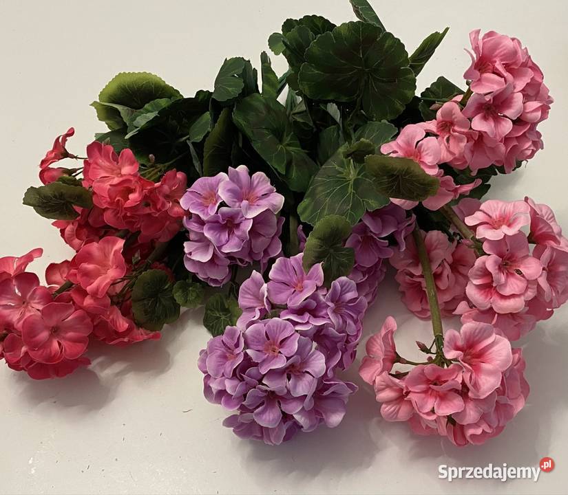 Pelargonia sztuczna Słubice
