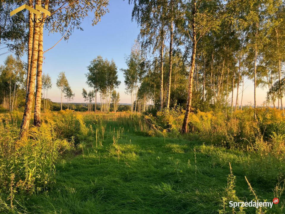 Dawidy działka z WZ 3001 m warmińsko-mazurskie