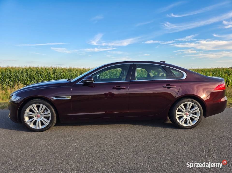 Jaguar XF 20 GTDi Prestige Salon 95 Zjawiskowy benzyna Pleszew