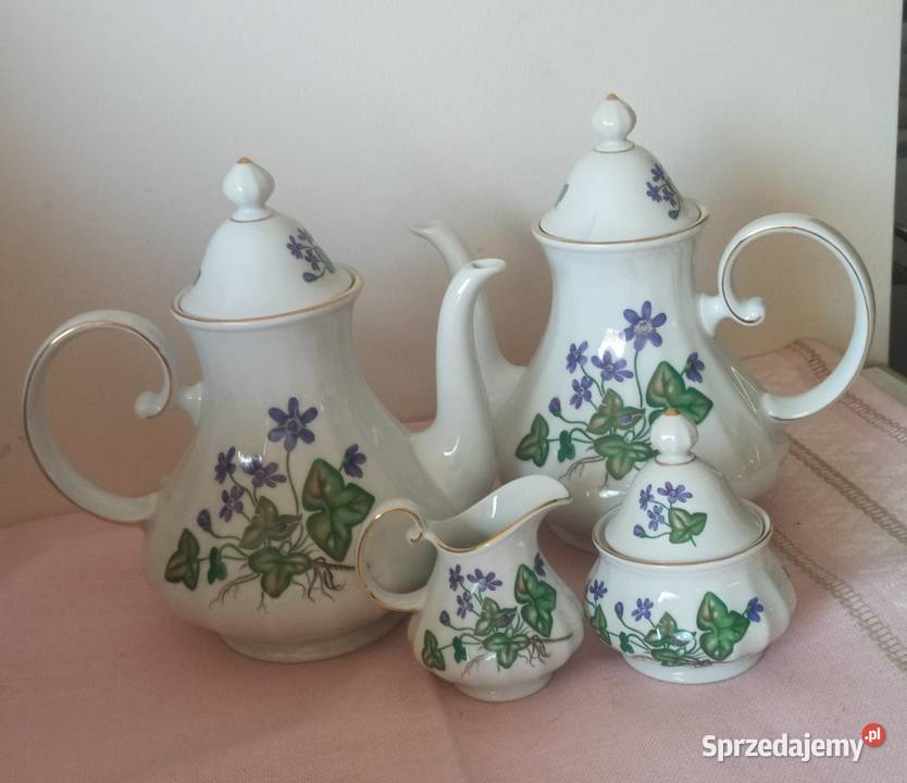 Biały dzbanek z przylaszczką Anemone Hepatica pomorskie Gdańsk