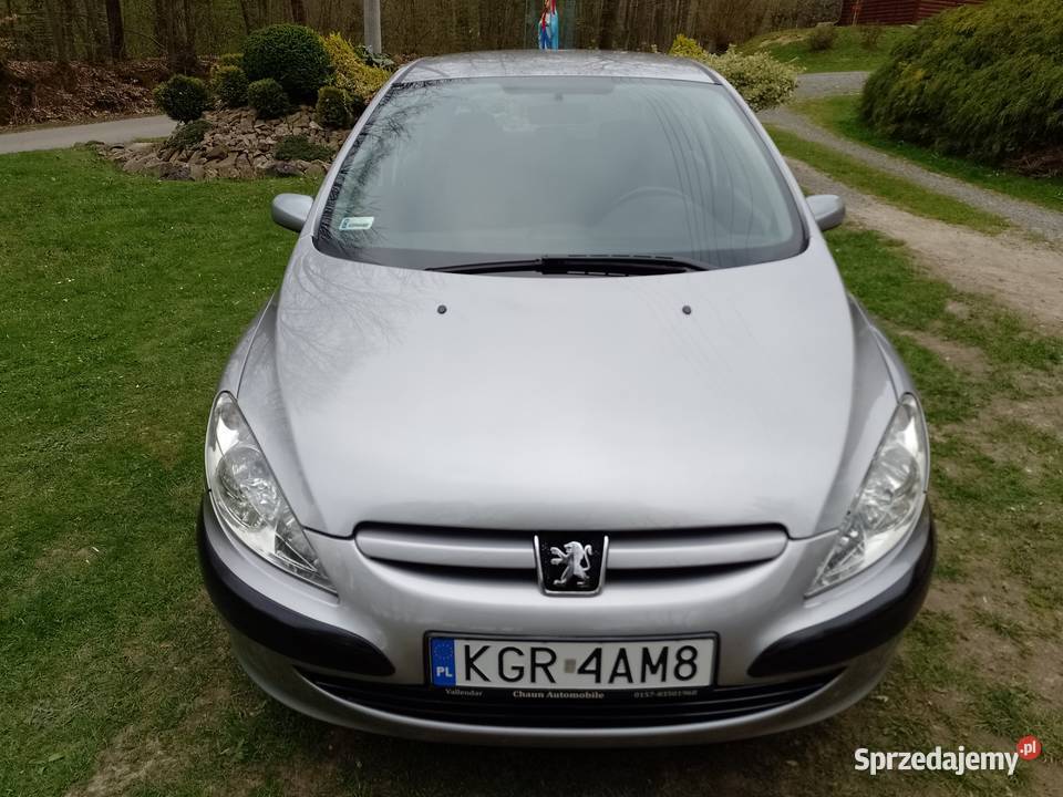 Peugeot 307 2005r Benzynka 1400 16V Rok produkcji 2005 sprzedam