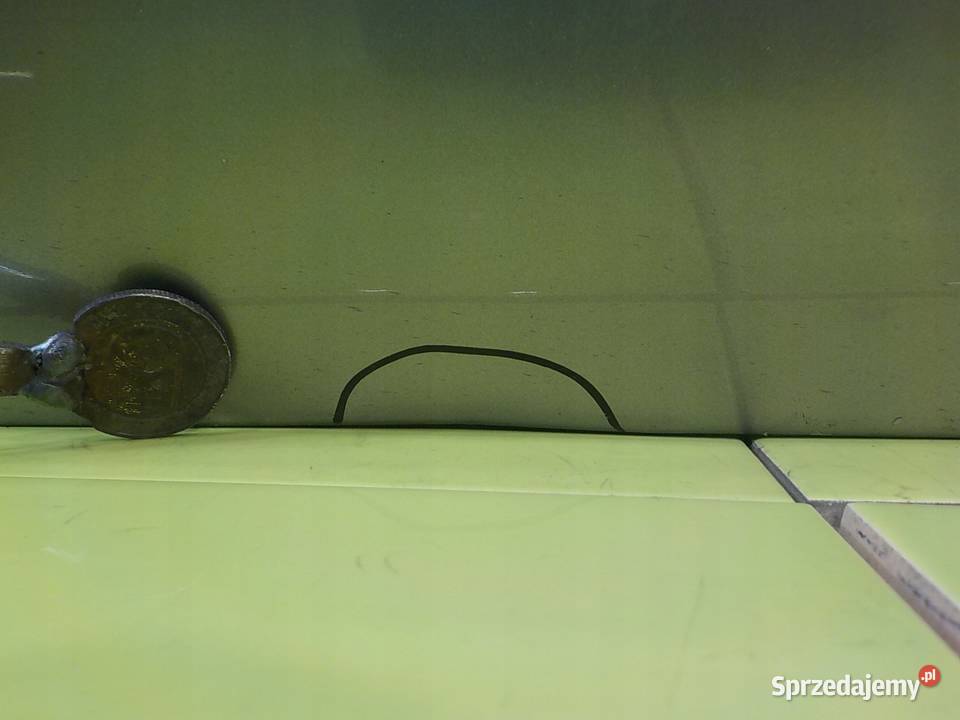 KIA SPORTAGE III 17 CRDI 11r 5D drzwi prawe tyl Suków