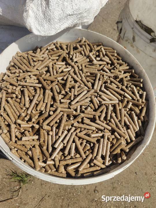 Regeneracja Serwis Odbudowa Matryca Peleciarka Kwidzyn