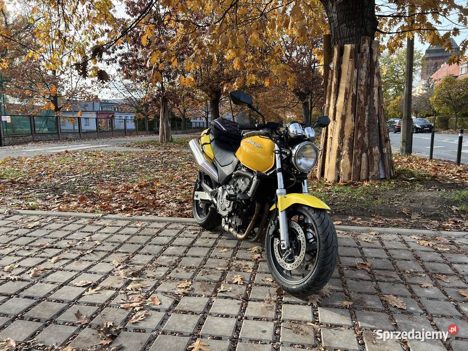 Hornet 600 pc34 2001 dolnośląskie