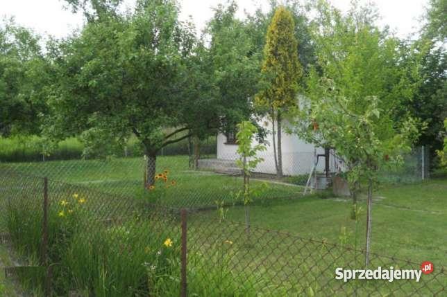 Działka rekreacyjna ROD Metron Rudak 15m Toruń