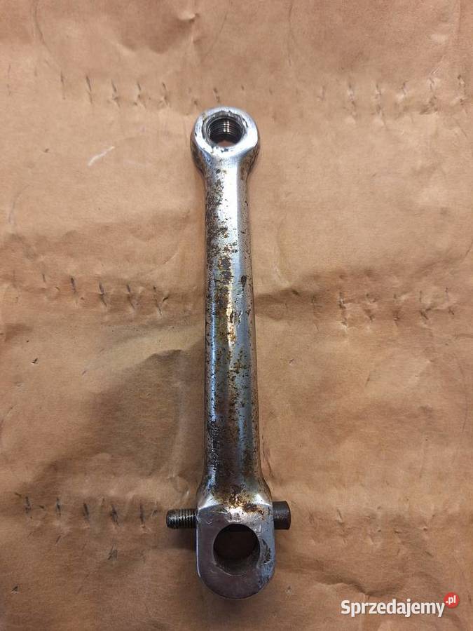 Komar sztywniak korby Krzywcza