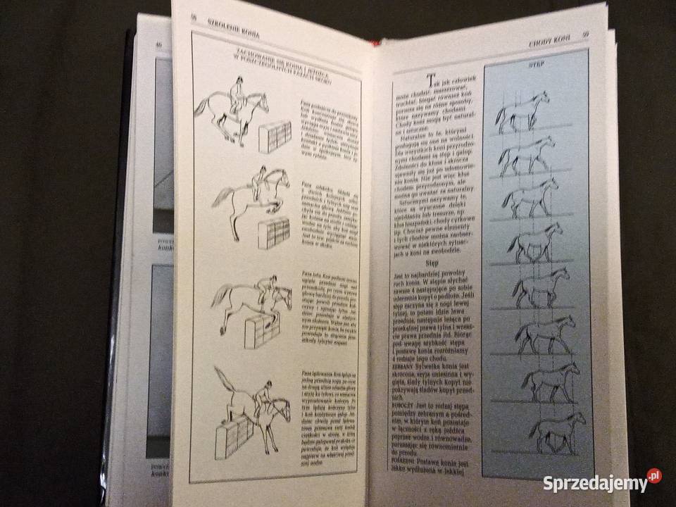 Jeździectwo pakiet książek Legionowo