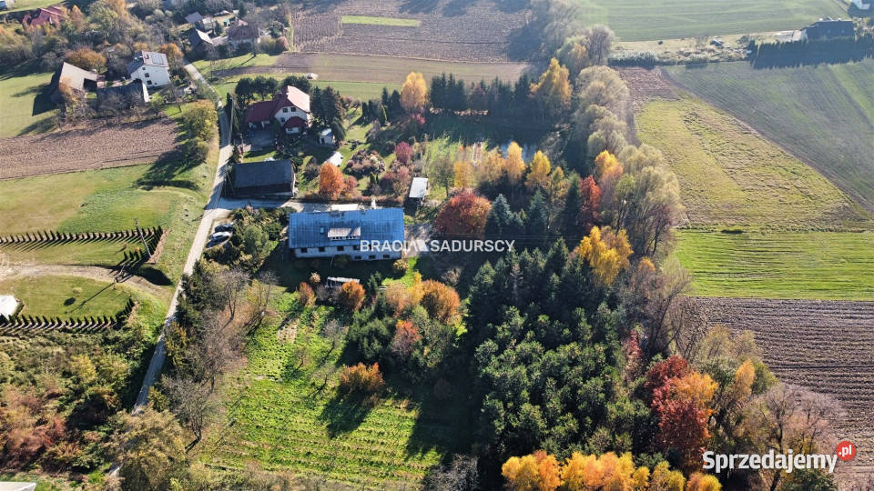 Grunt 11100m2 Maciejowice małopolskie