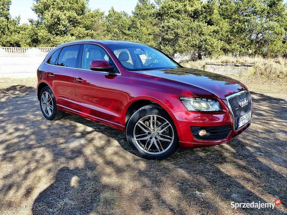 Audi Q5 20 TDI wielkopolskie