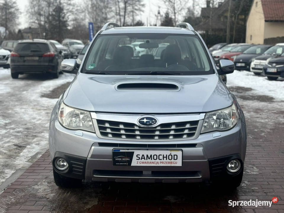 Subaru Forester Gwarancja Serwis Skóra Szyber Sade Budy sprzedam