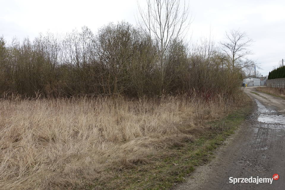 Syndyk sprzeda działkę na Skrajnej SP strefa Grunty i działki