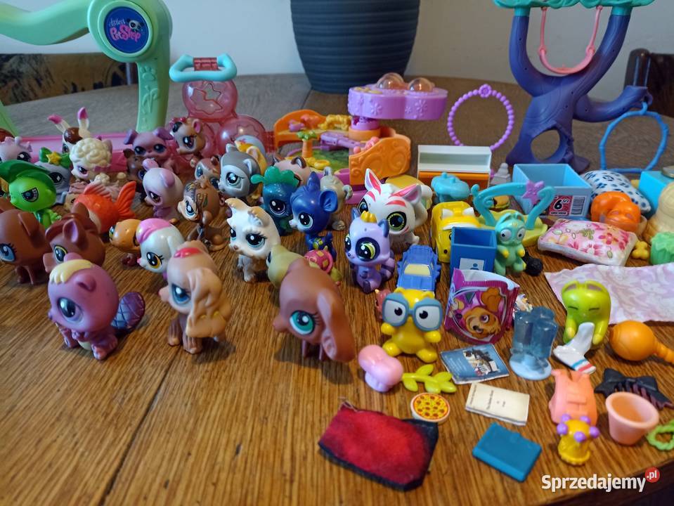 Pet shop kolekcja podkarpackie Leżajsk sprzedam