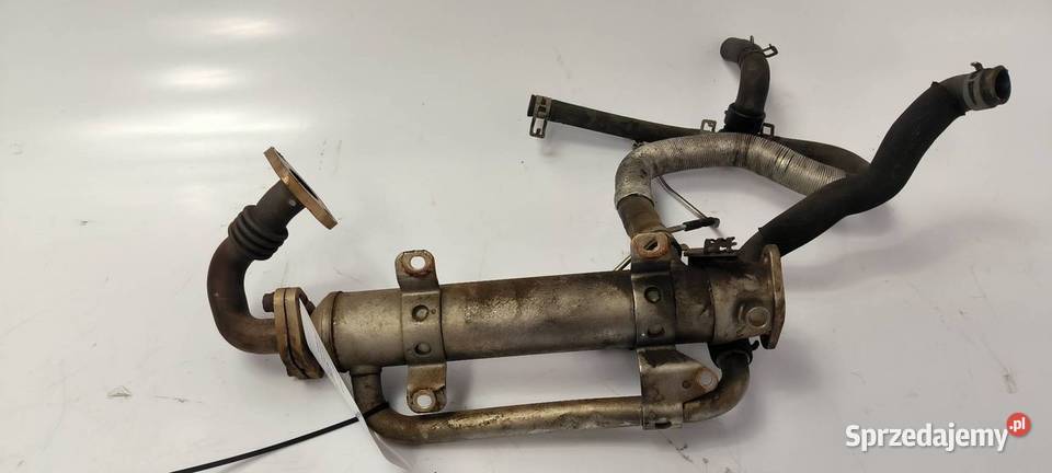 CHŁODNICA EGR DODGE JOURNEY 03G131512AH Lipno