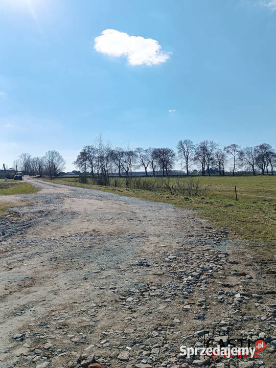 Markusy I 17 Elbląga I pod budowę 1064m2 sprzedam