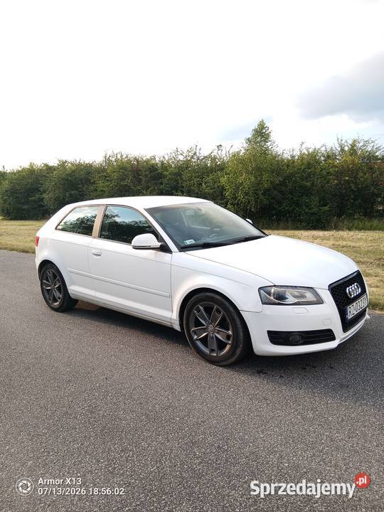Audi A3 8P 16 TDI Brzesko