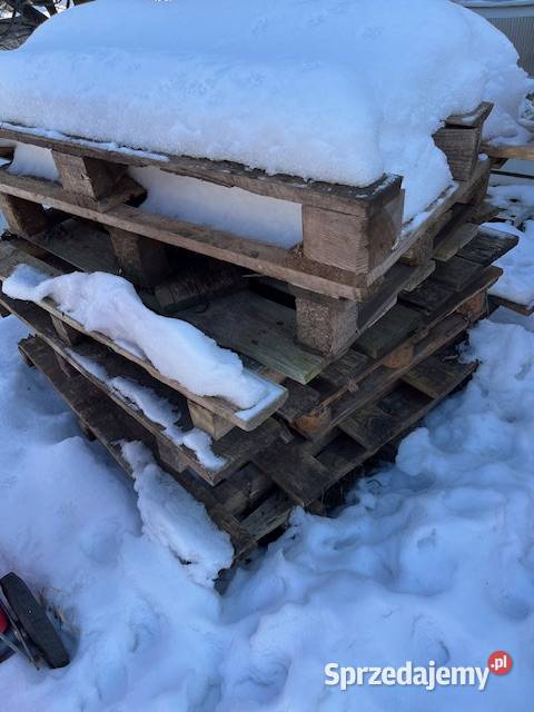 Drewno kominkowe i opałowe Opał Dom i Ogród Legionowo