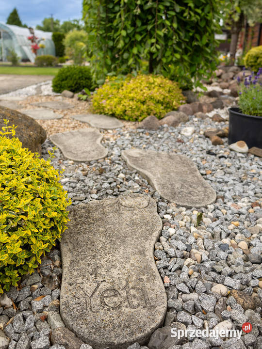 ROD im Tadeusza Kościuszki Dworcowa 1