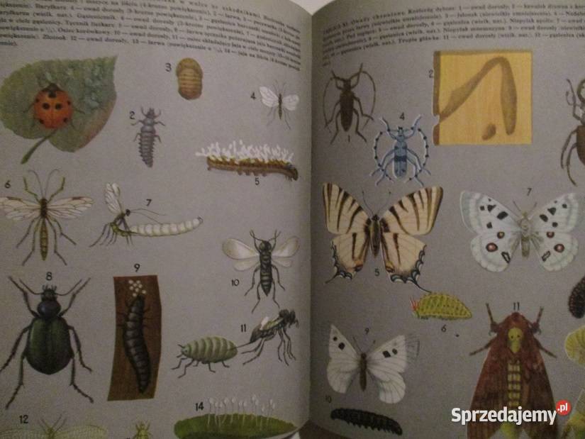 Głos przyrody t 12 przyroda edukacja nauka las Łódź