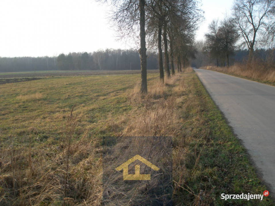 Działka budowlana w Jabłonnej gminie Grębków budowlana Jabłonna