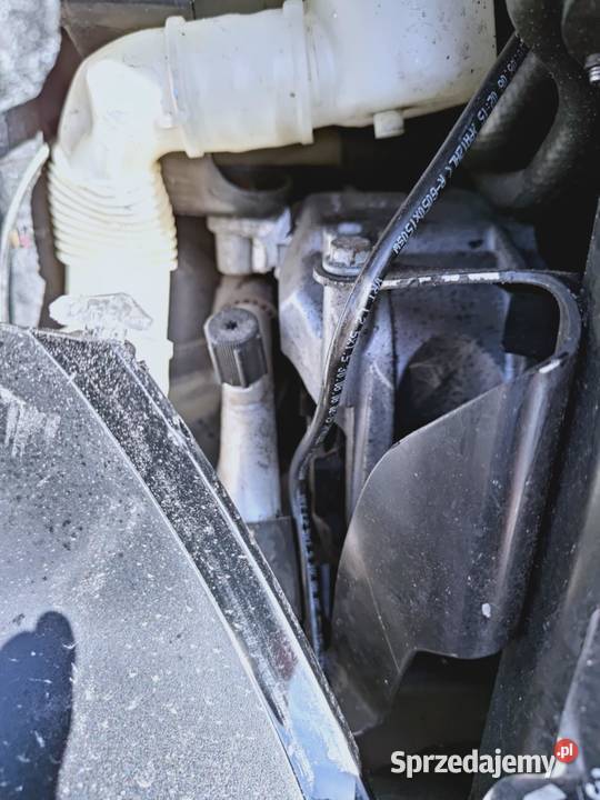 Turan w całości Sprzedam Biłgoraj