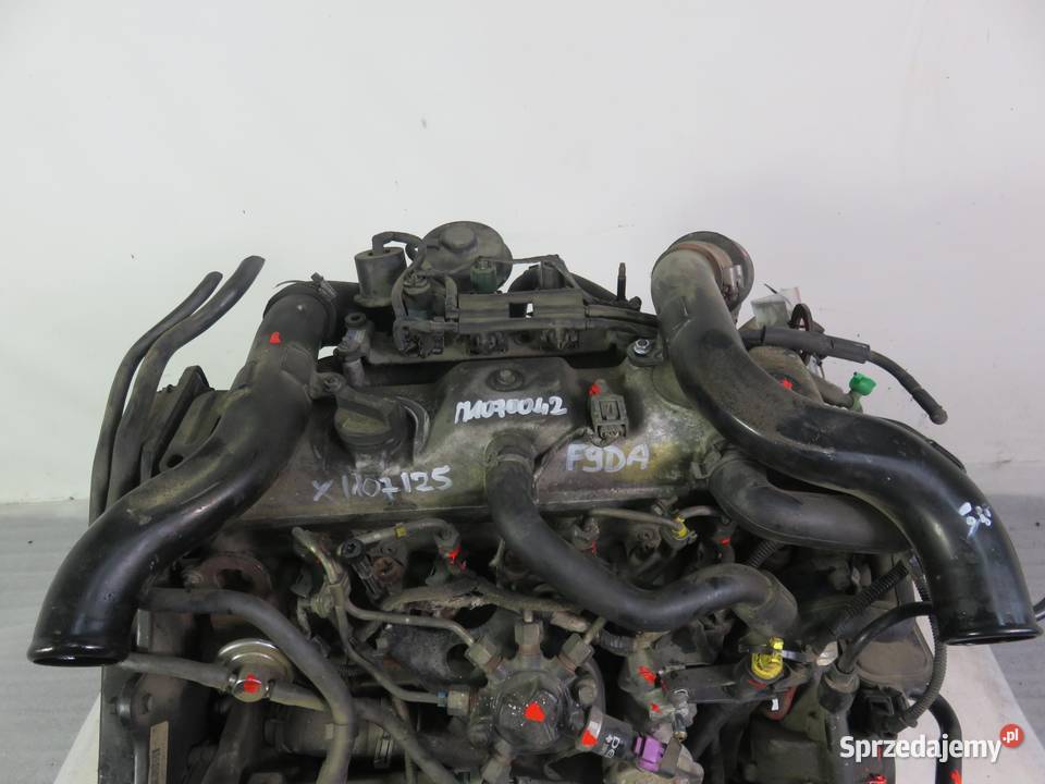 SILNIK FORD FOCUS MK1 I 18 TDCi F9DB 115 sprzedam