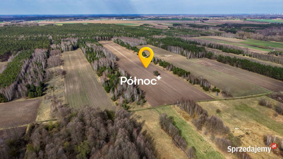 Działka rolna ponad 44 Ha w Małaczewiczach