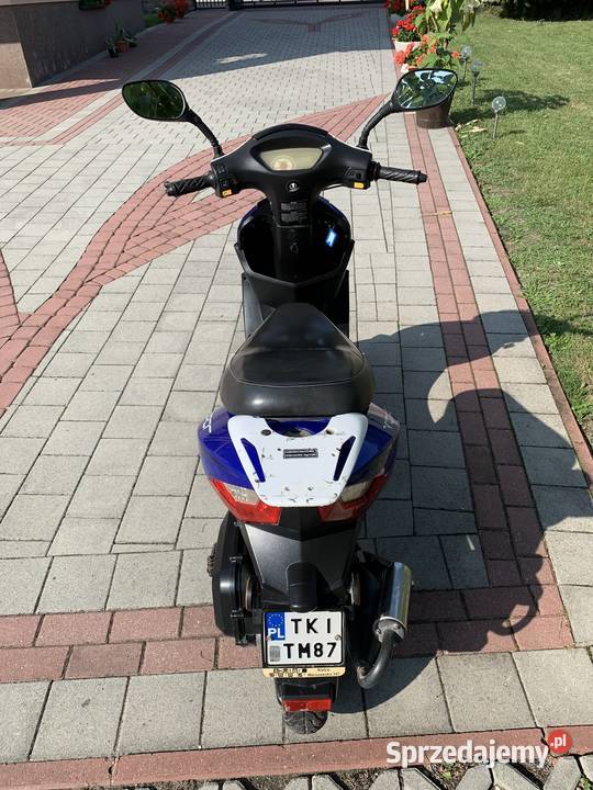 ZIPP VAPOR 50 Chęciny