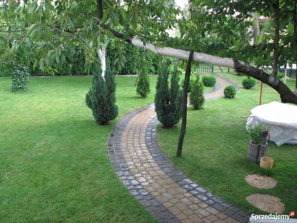 Działka rekreacyjna w Nekli Grunty i działki