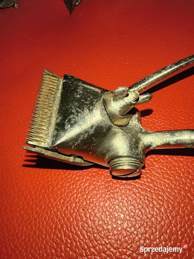 Golarki wojsk Wehrmachtu Suwałki