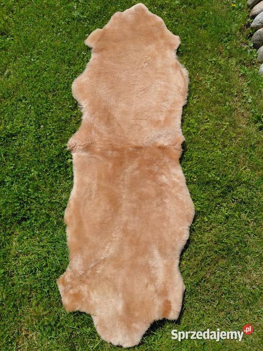 Dywan ze Skóry Naturalnej Krótka Wełna 3 Kolory Skóry Szaflary