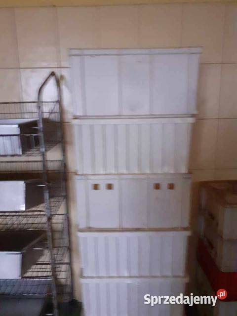 SKRZYNKI PLASTIKOWE 105 SZTUK 5 SZTUKĘ Raciborowice