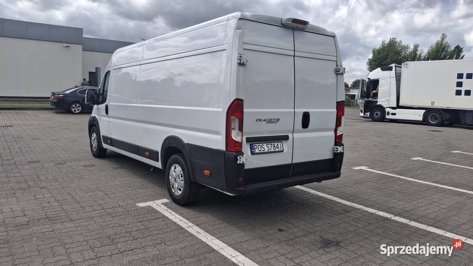 Fiat Ducato 23 Multi Jet 2019r wielkopolskie Ostrów Wielkopolski