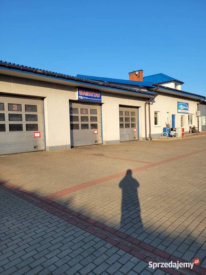 Nowe Siniki Remonty Silników Naprawy Forda Radom